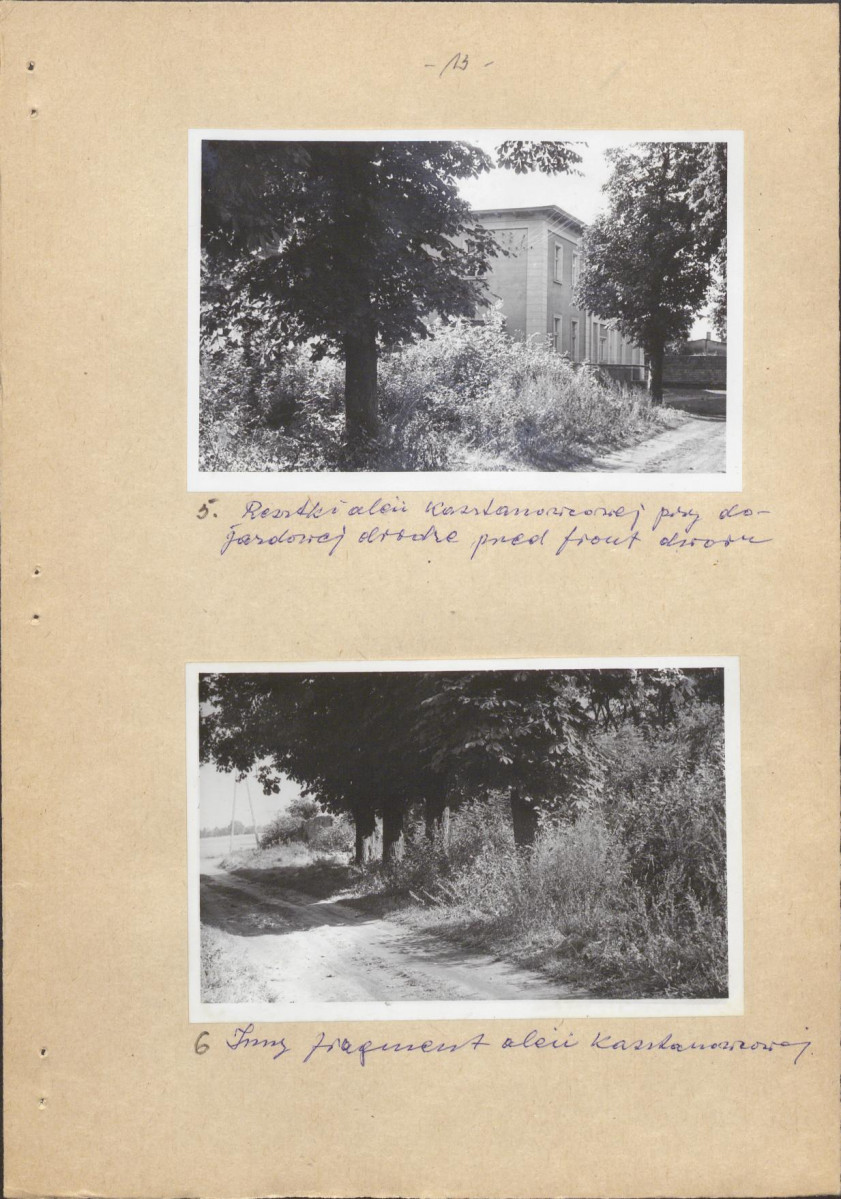 EP - Ewidencja parkowa, skan nr 19