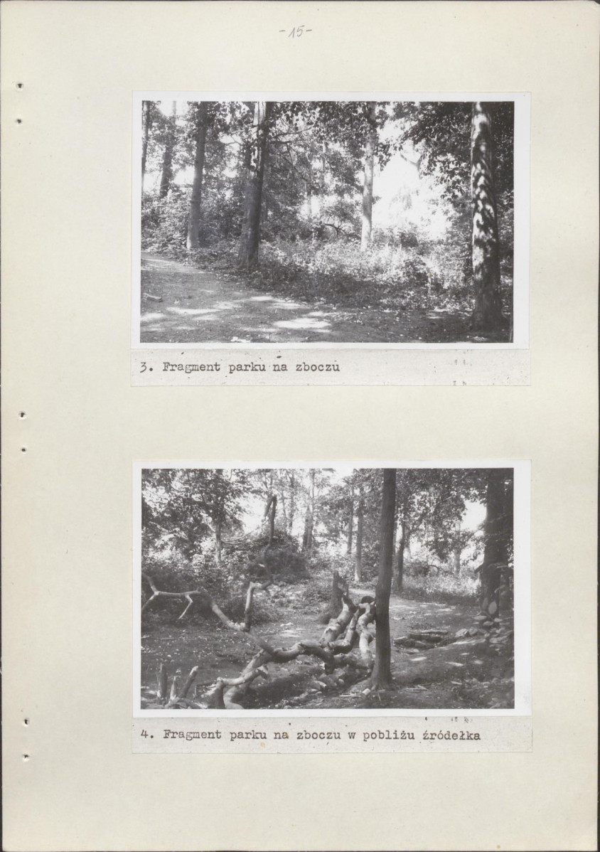 Ewidencja parkowa, skan nr 21