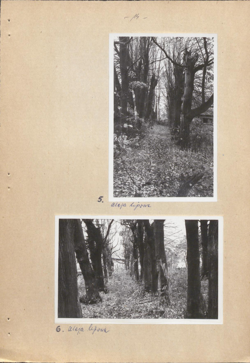 EP - Ewidencja parkowa, skan nr 20