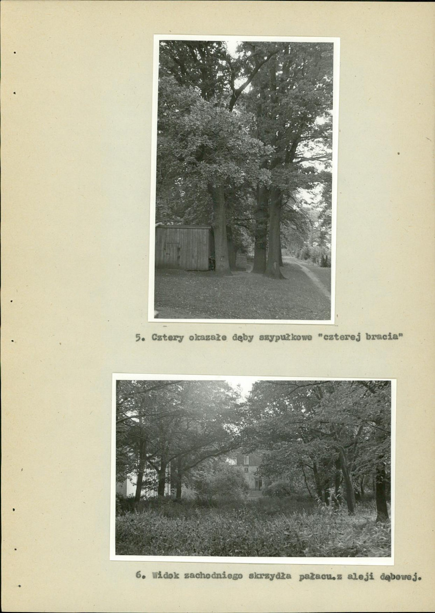 EP - Ewidencja parkowa, skan nr 28