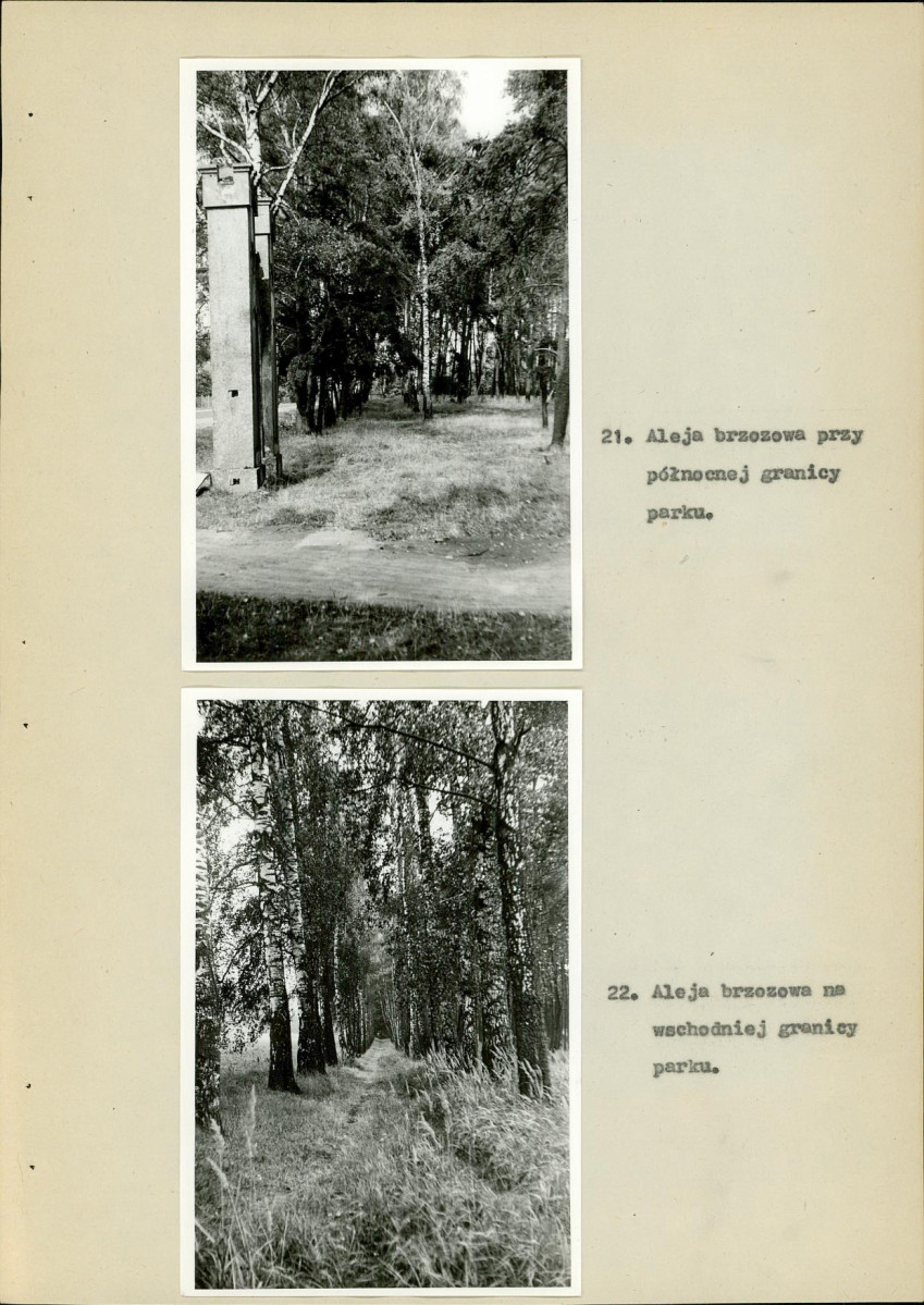 EP - Ewidencja parkowa, skan nr 36