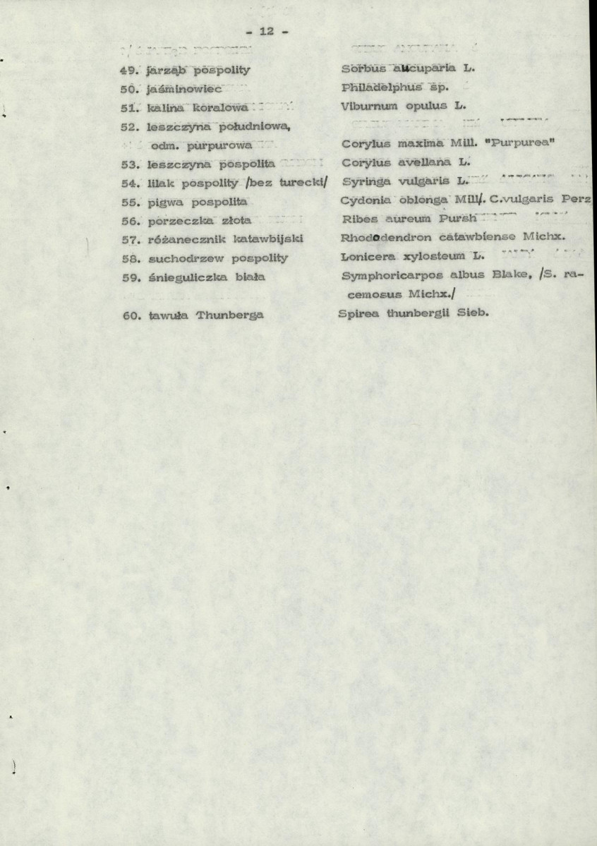 Ewidencja parkowa, skan nr 21