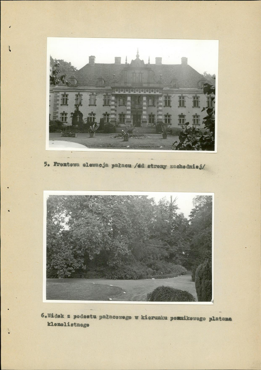 Ewidencja parkowa, skan nr 32