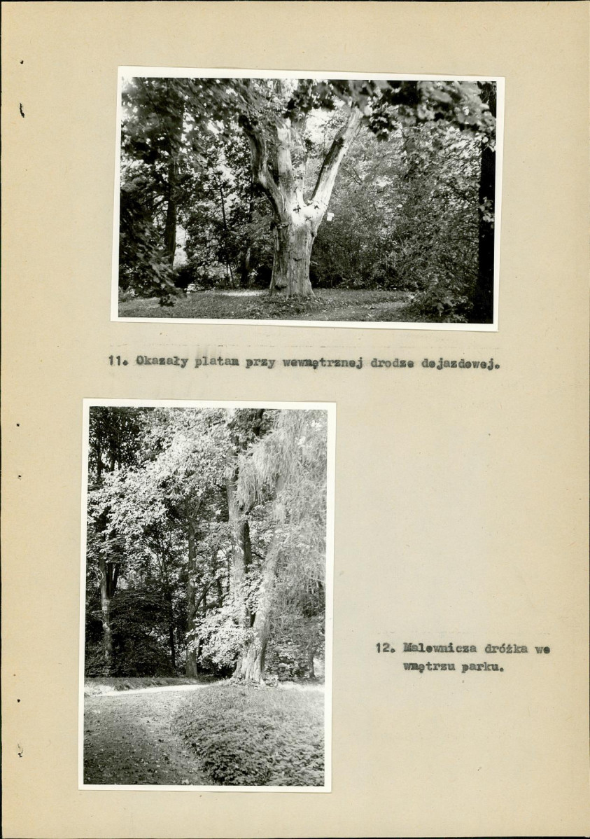 Ewidencja parkowa, skan nr 35