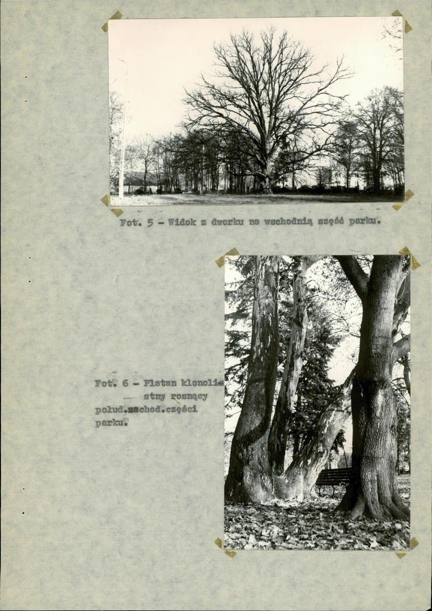 EP - Ewidencja parkowa, skan nr 25