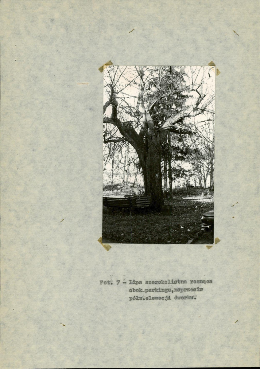EP - Ewidencja parkowa, skan nr 26