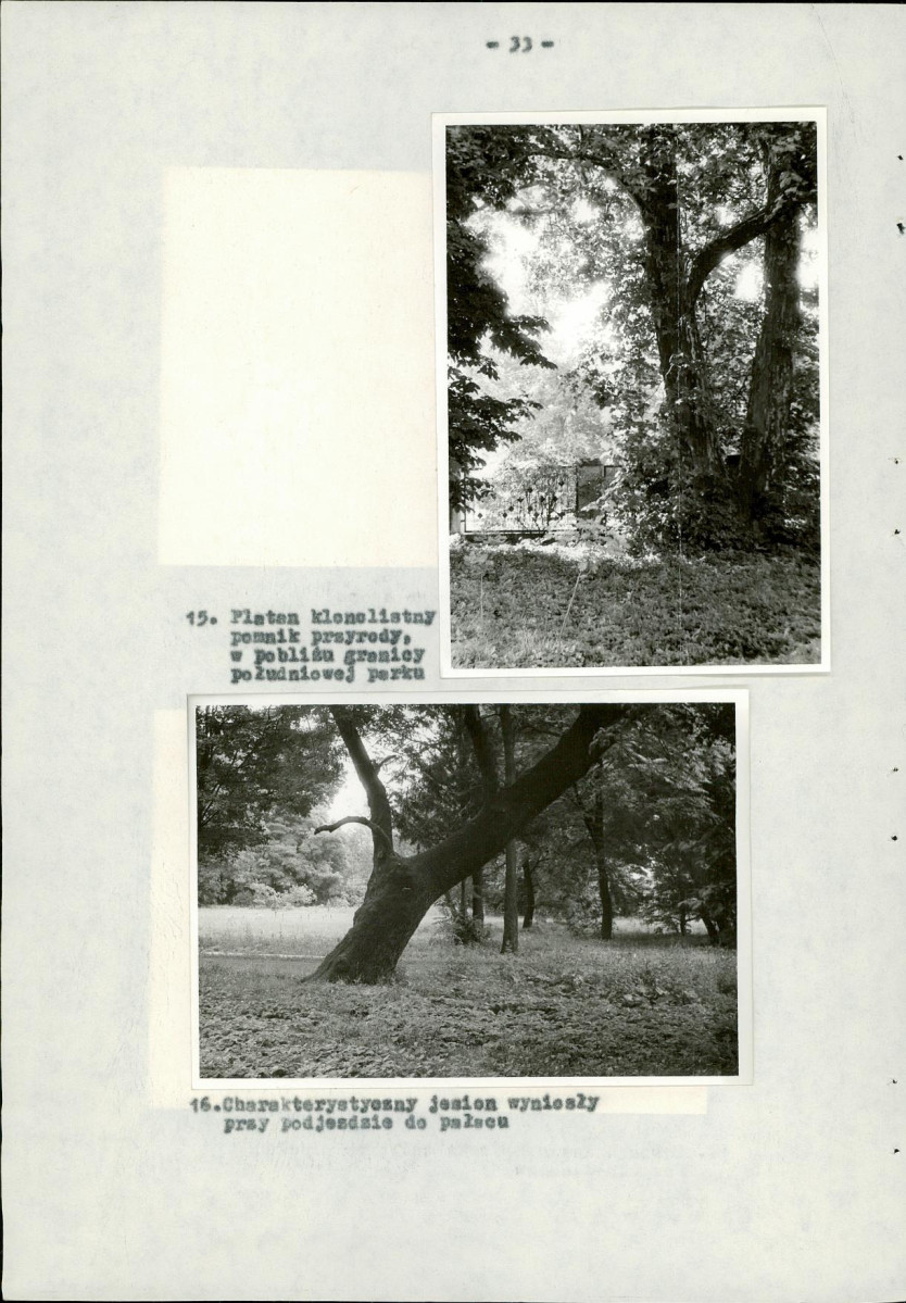 EP - Ewidencja parkowa, skan nr 40