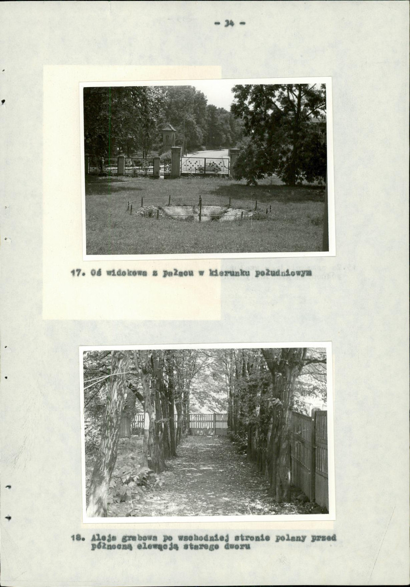 EP - Ewidencja parkowa, skan nr 41