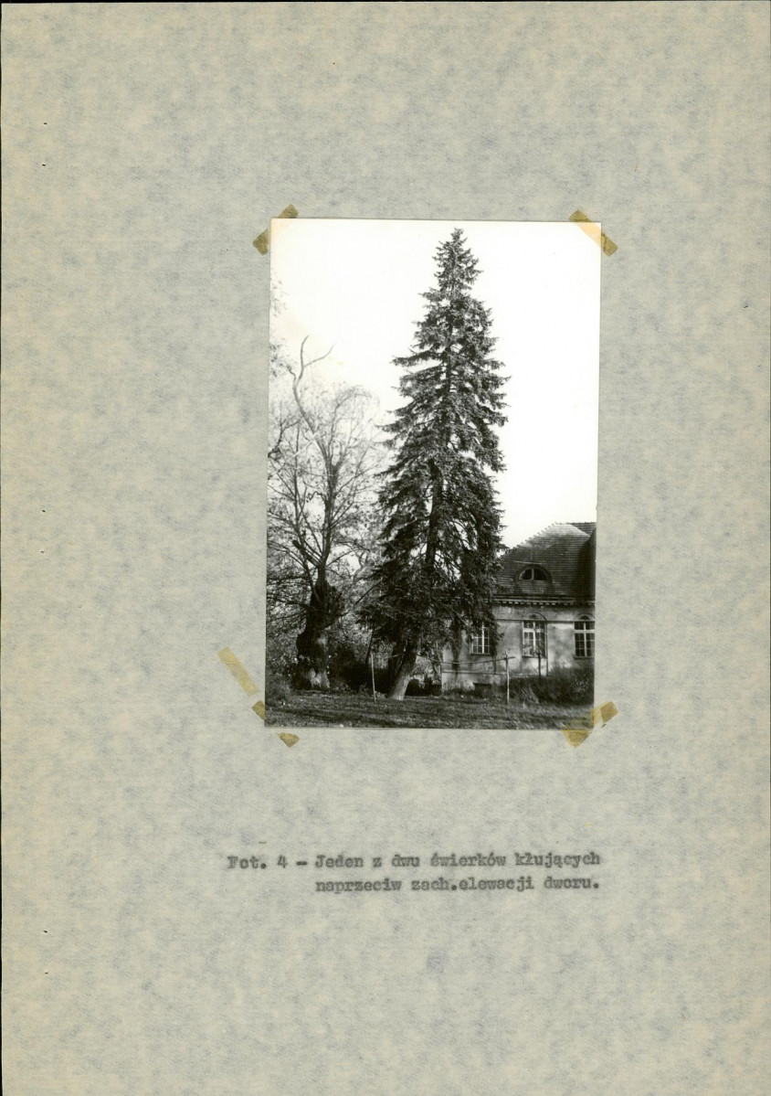 Ewidencja parkowa, skan nr 21