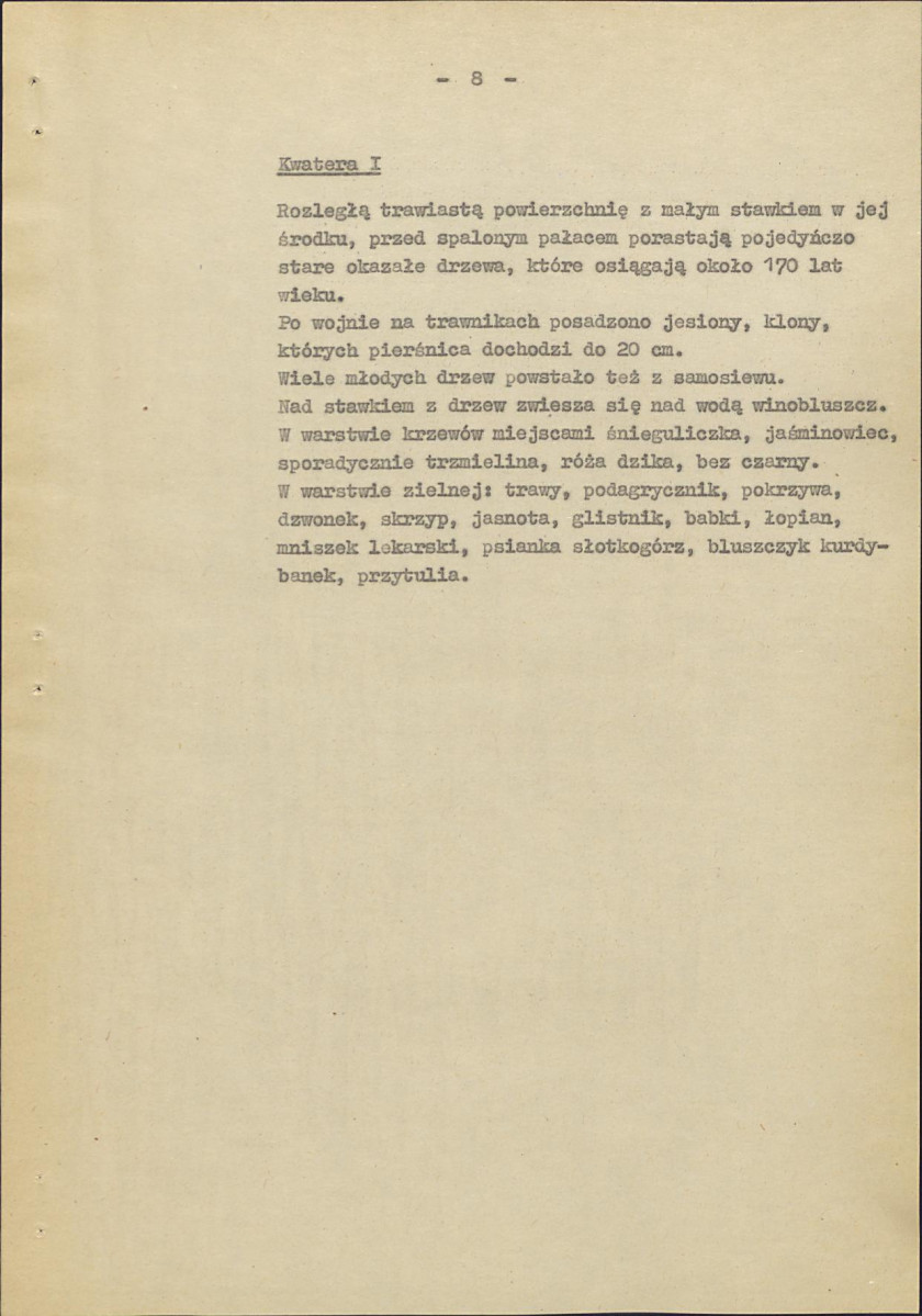 Ewidencja parkowa, skan nr 13