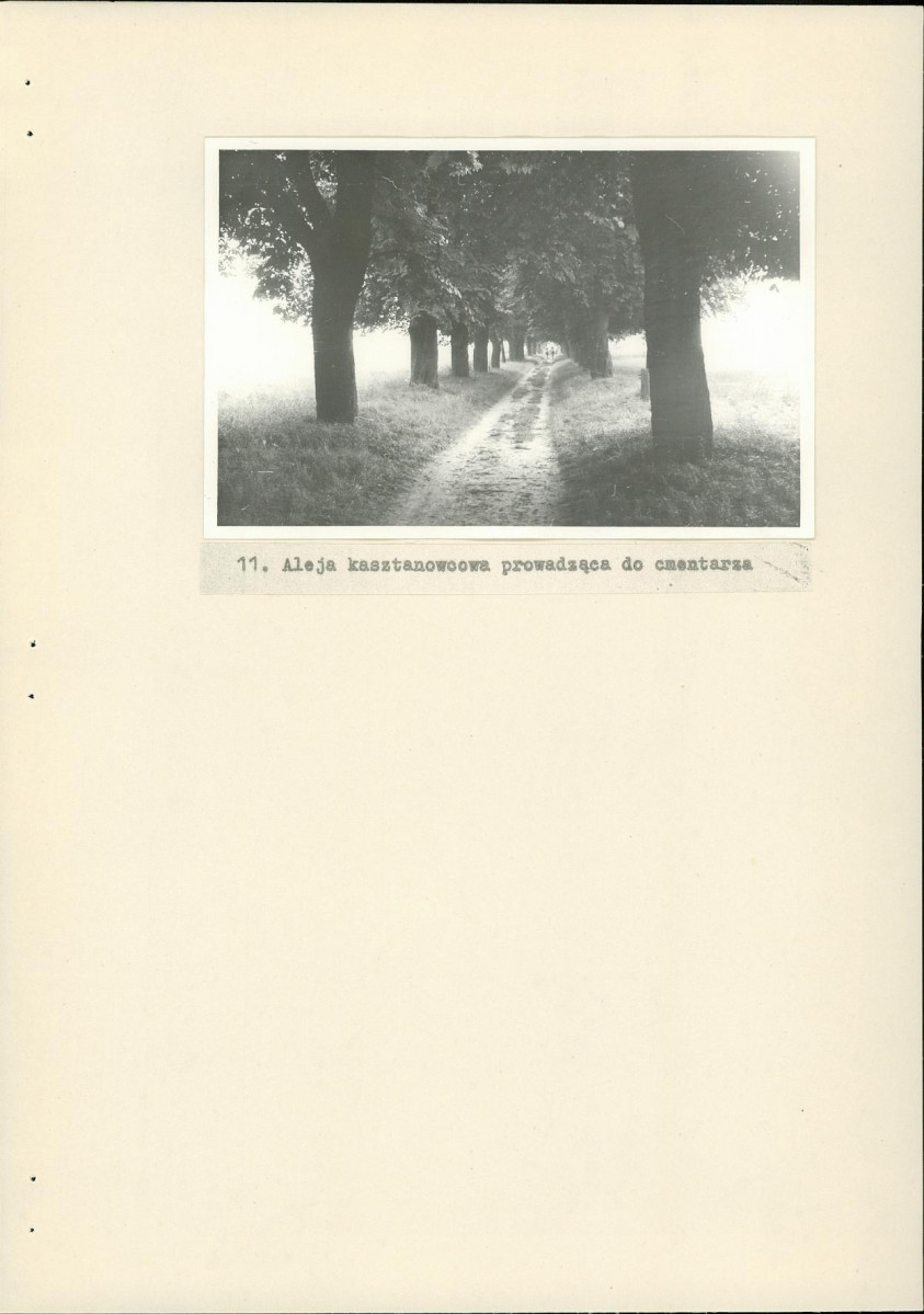 Ewidencja parkowa, skan nr 28
