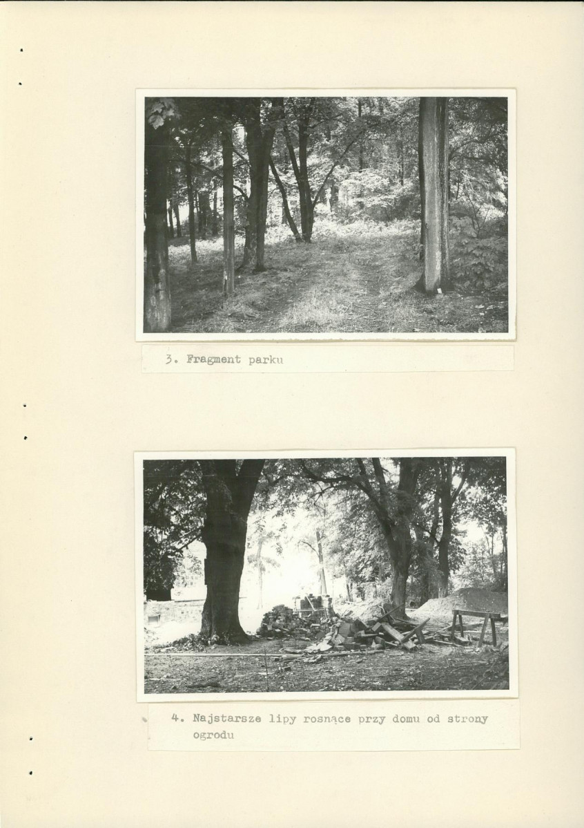 Ewidencja parkowa, skan nr 18