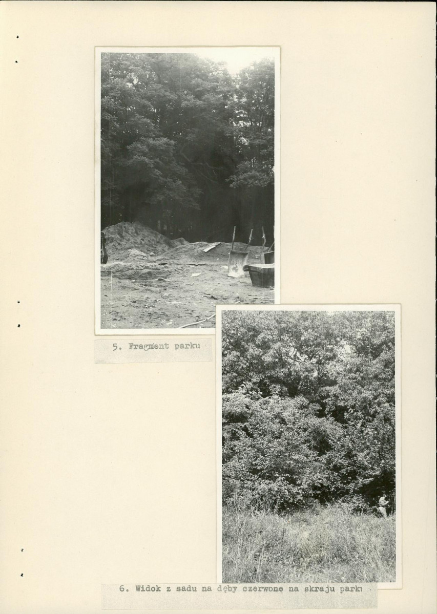 Ewidencja parkowa, skan nr 19