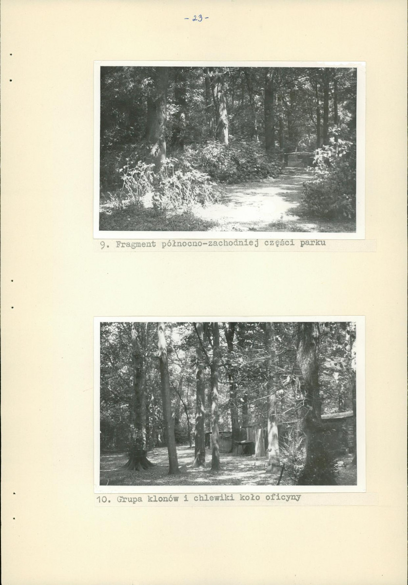 Ewidencja parkowa, skan nr 28