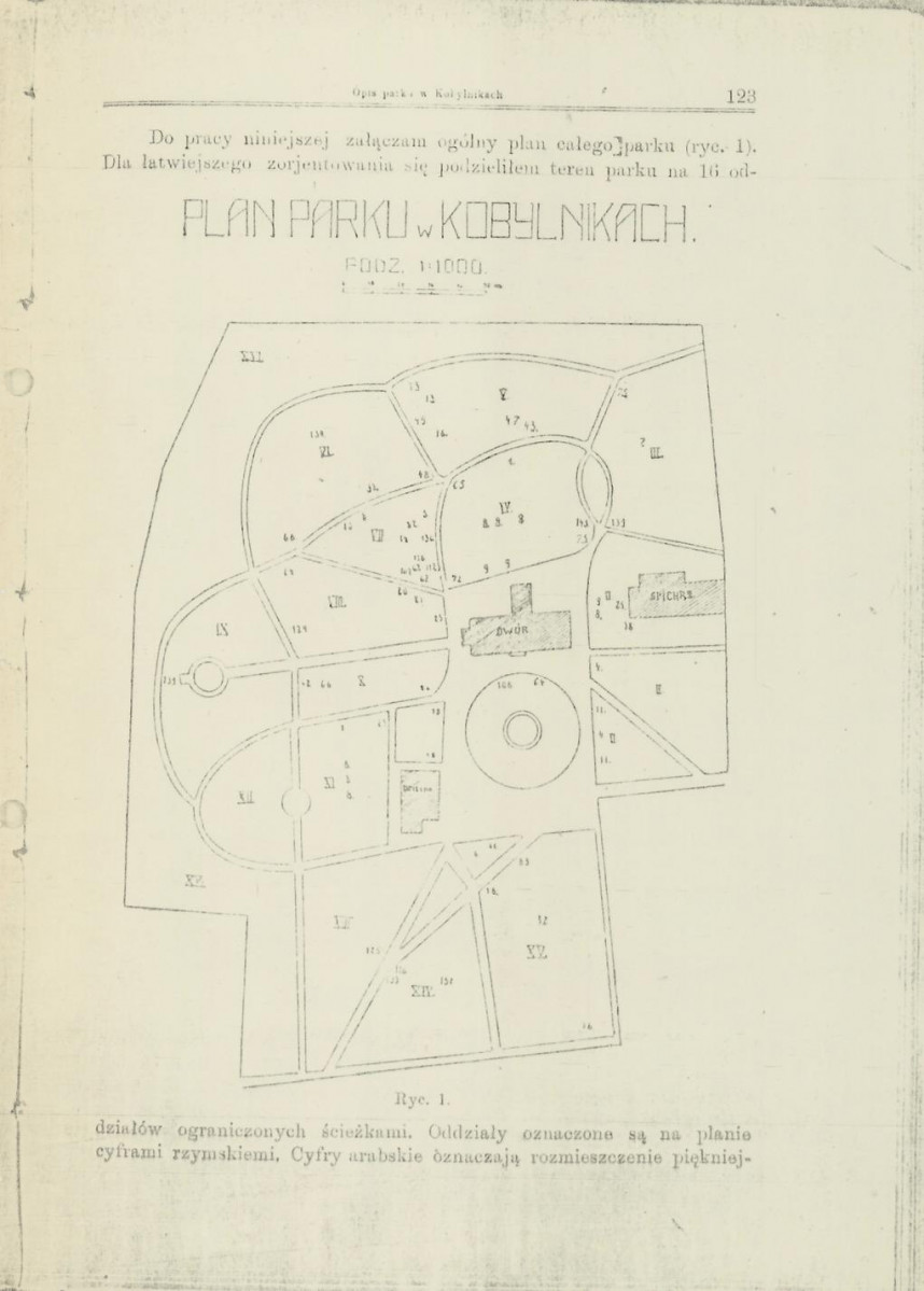 Ewidencja parkowa, skan nr 33