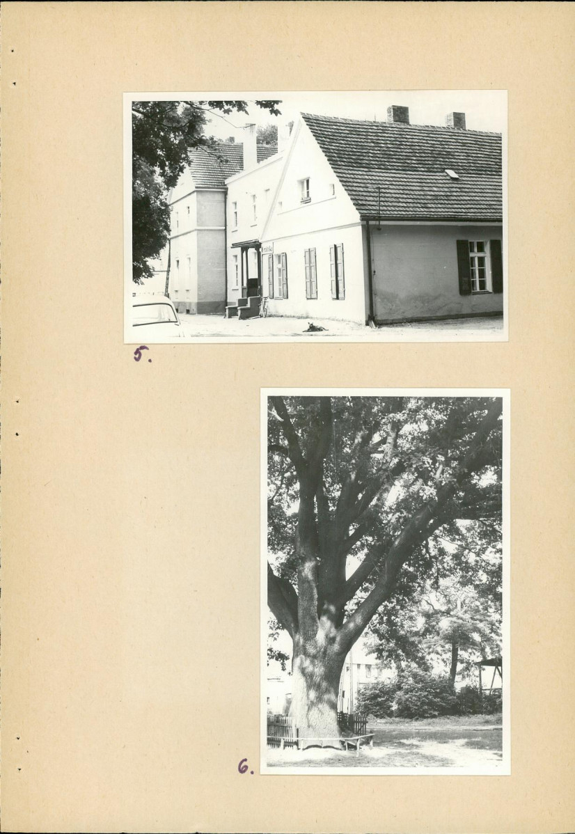 Ewidencja parkowa, skan nr 23