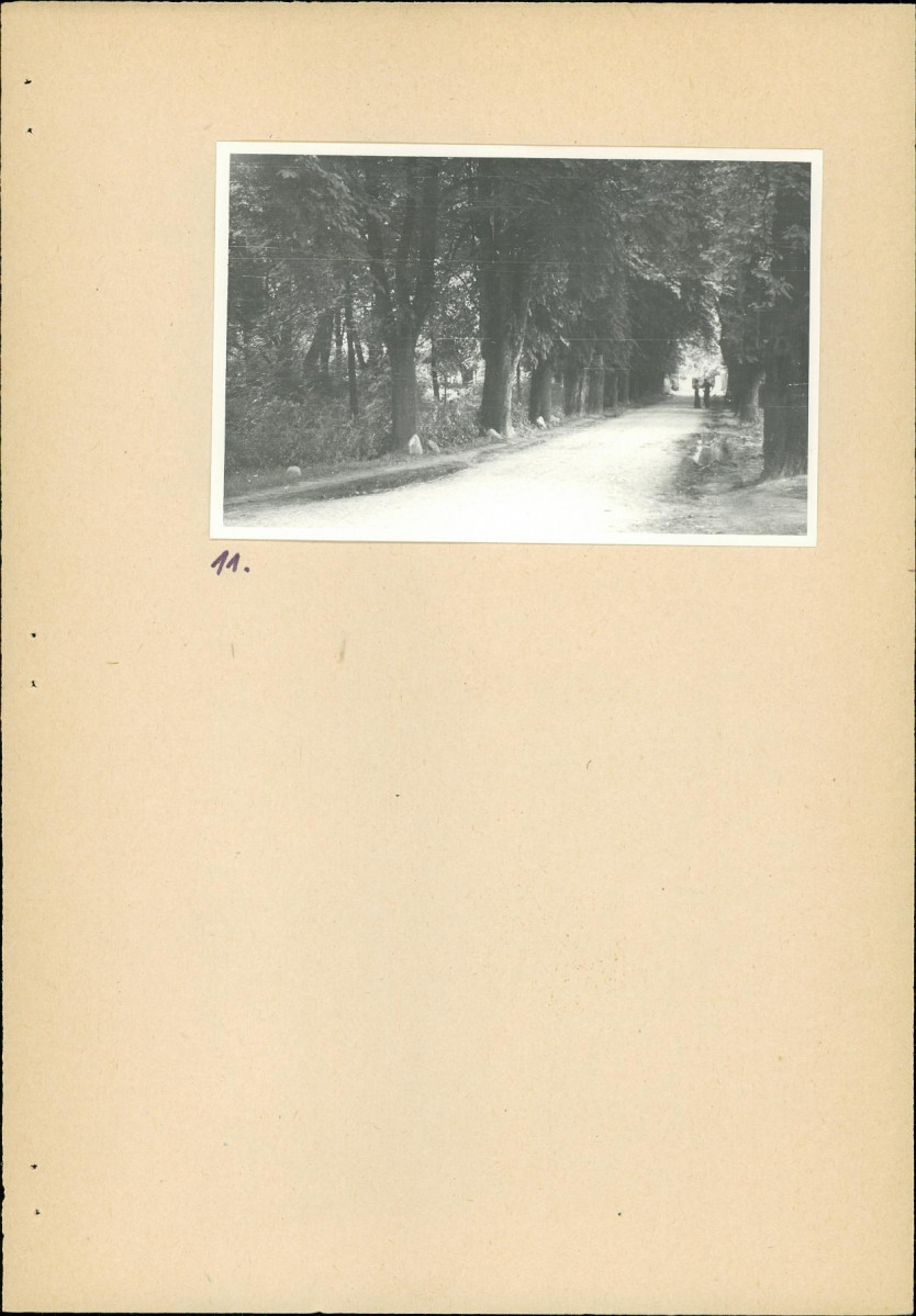 Ewidencja parkowa, skan nr 26