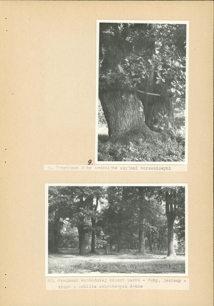 Ewidencja parkowa, skan nr 23