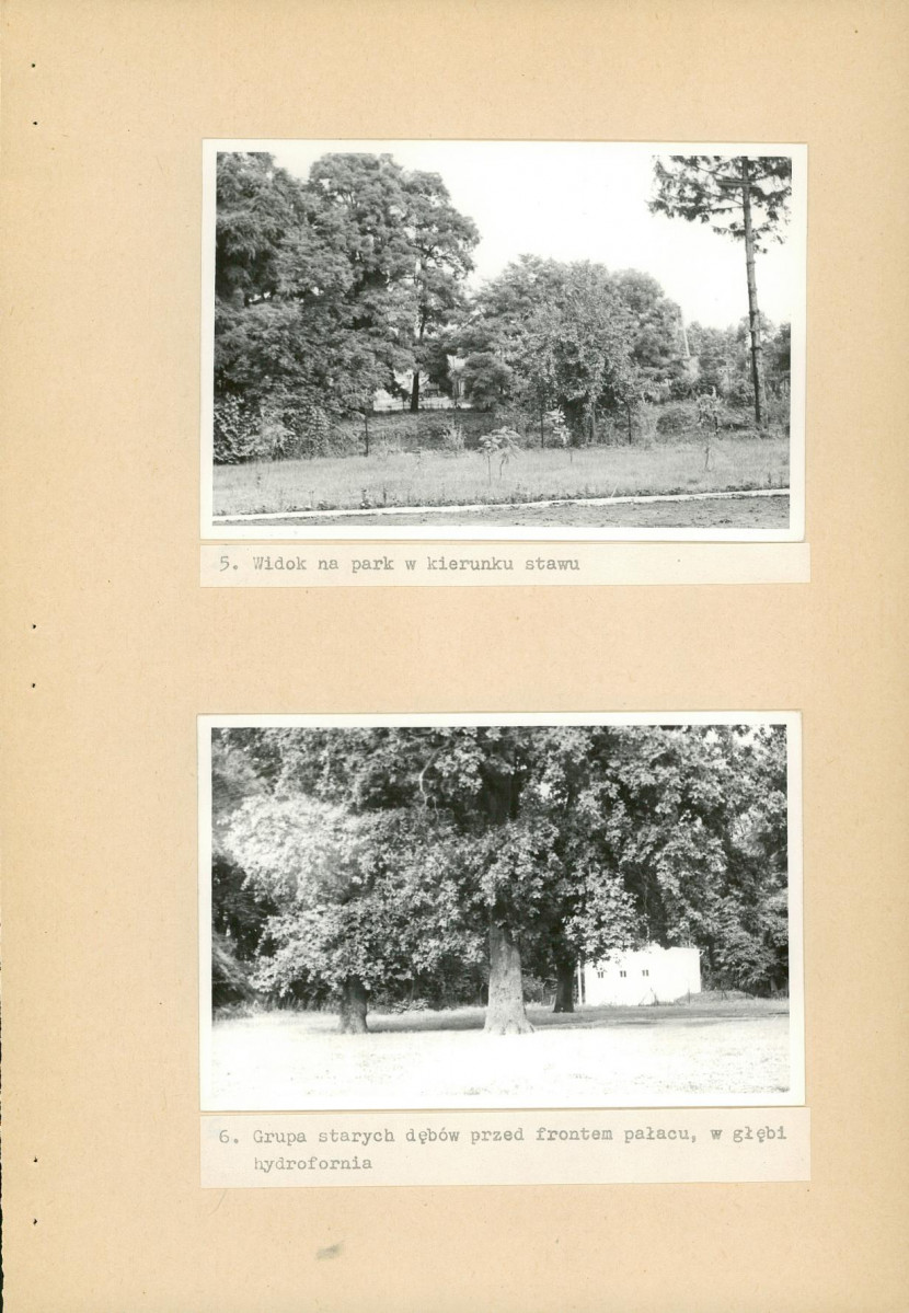 Ewidencja parkowa, skan nr 24