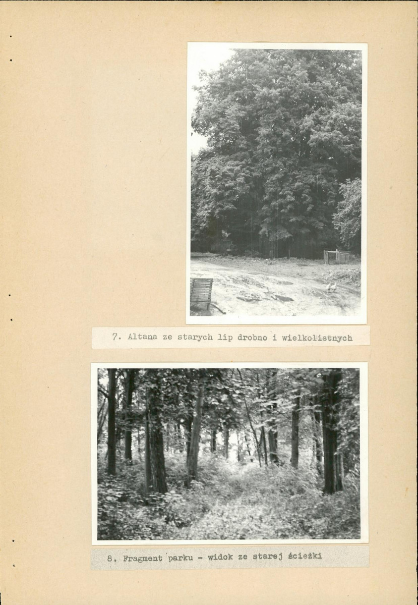 Ewidencja parkowa, skan nr 23