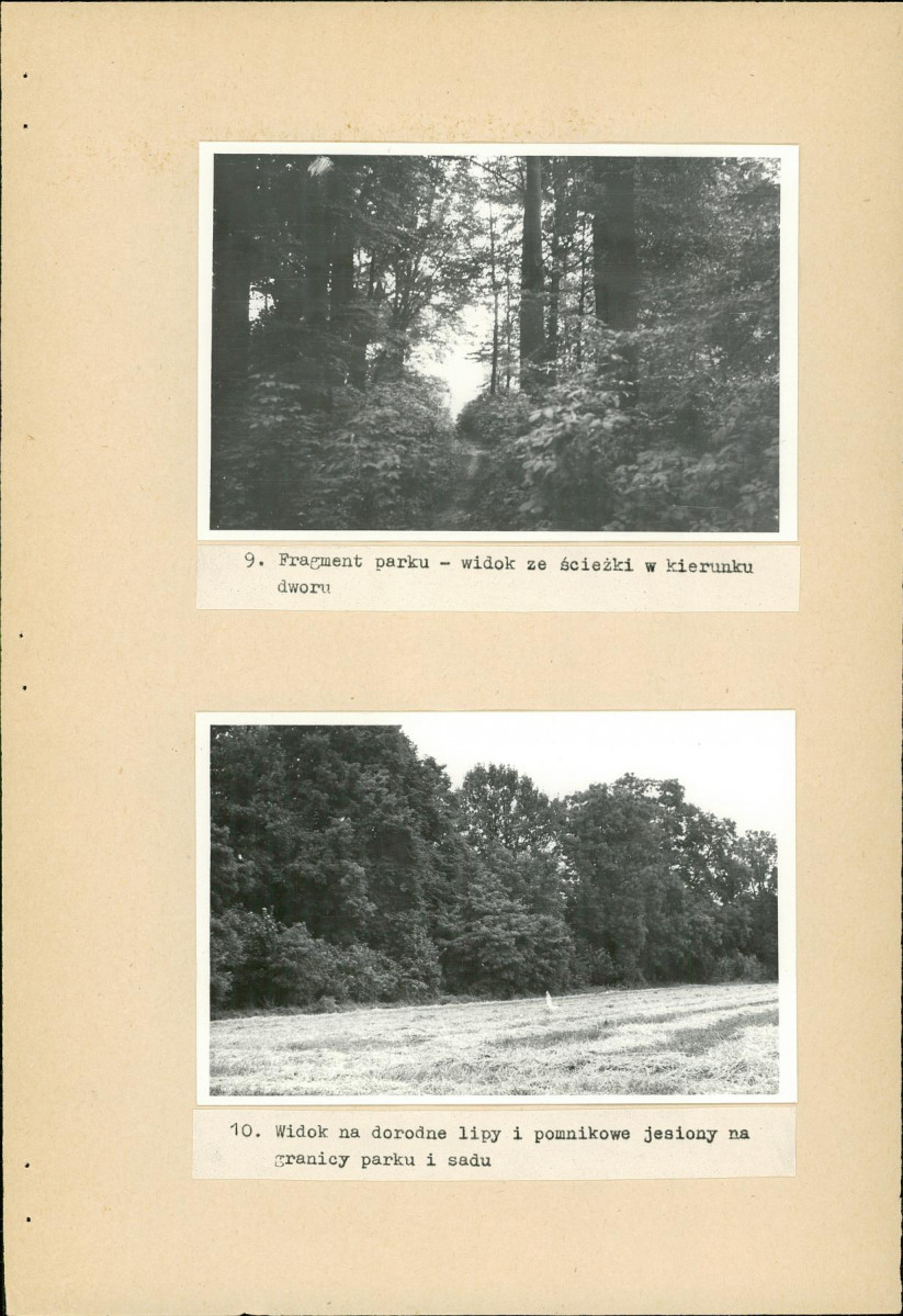 Ewidencja parkowa, skan nr 24
