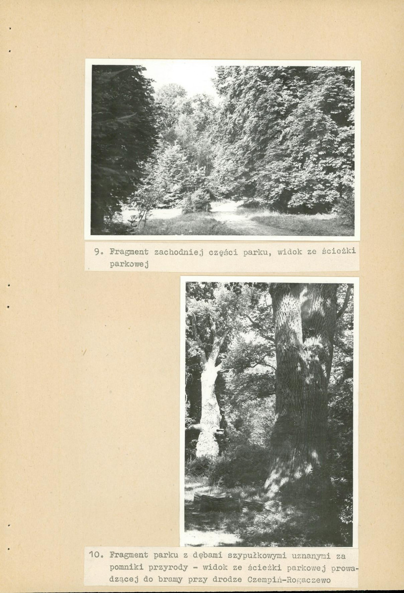 Ewidencja parkowa, skan nr 40