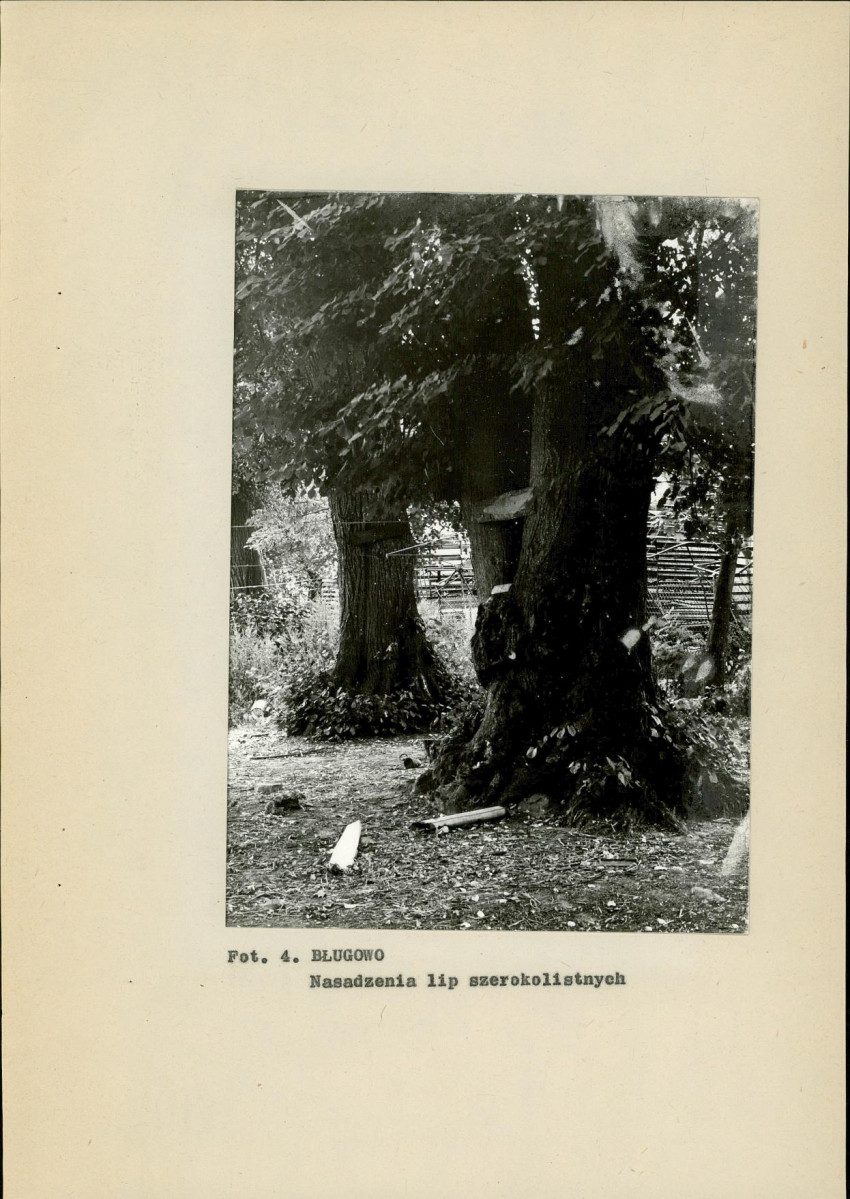 Ewidencja parkowa, skan nr 23