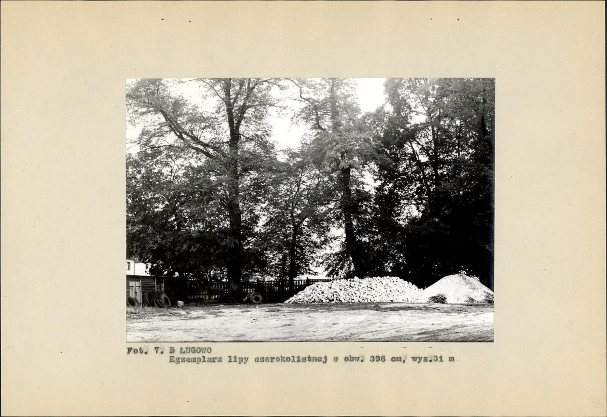 Ewidencja parkowa, skan nr 26