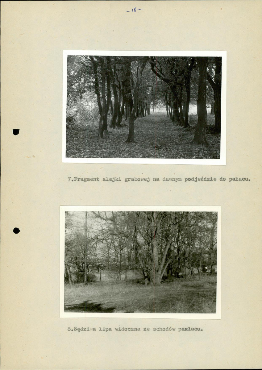 EP - Ewidencja parkowa, skan nr 26