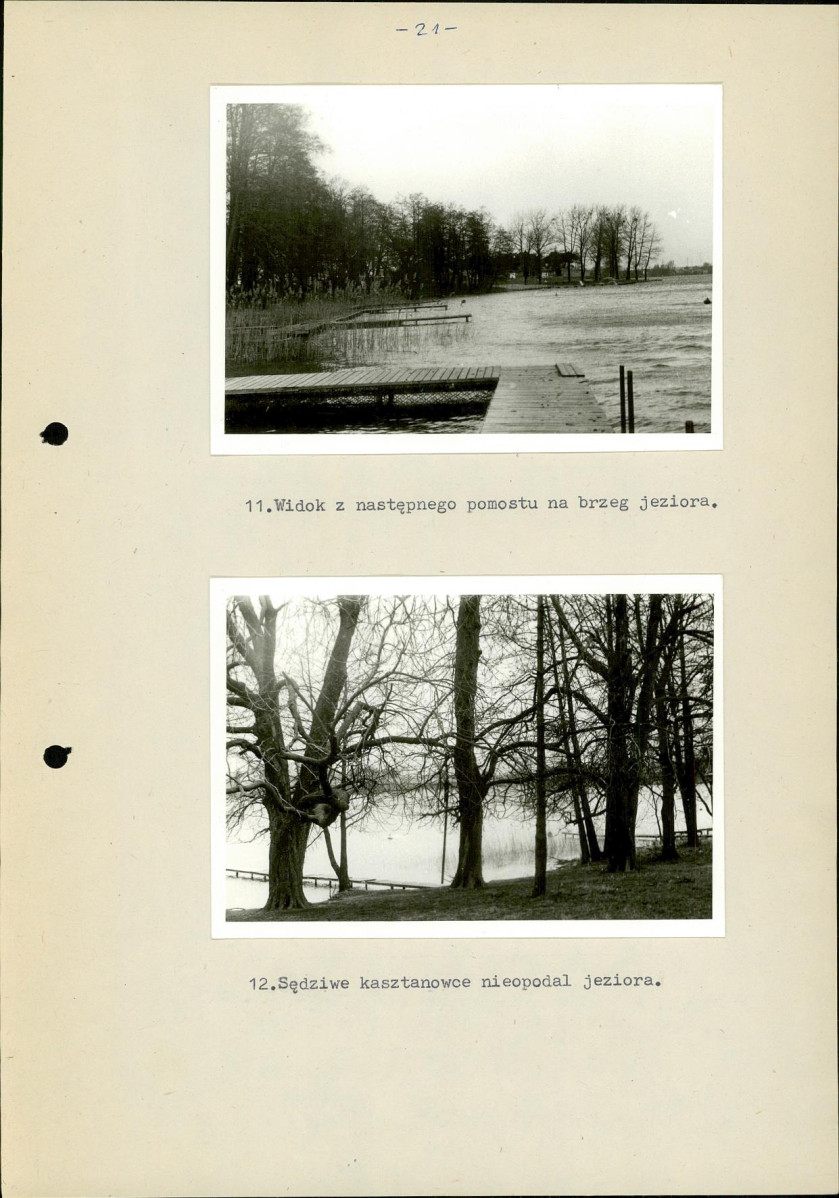EP - Ewidencja parkowa, skan nr 29