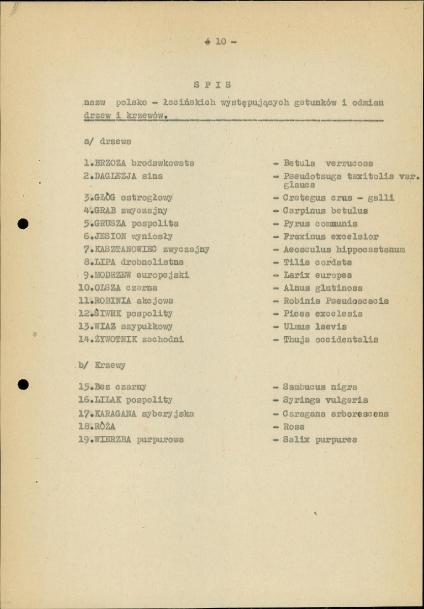 EP - Ewidencja parkowa, skan nr 17