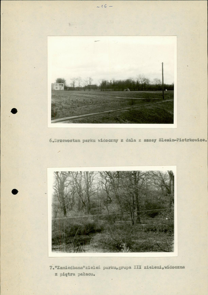 EP - Ewidencja parkowa, skan nr 23