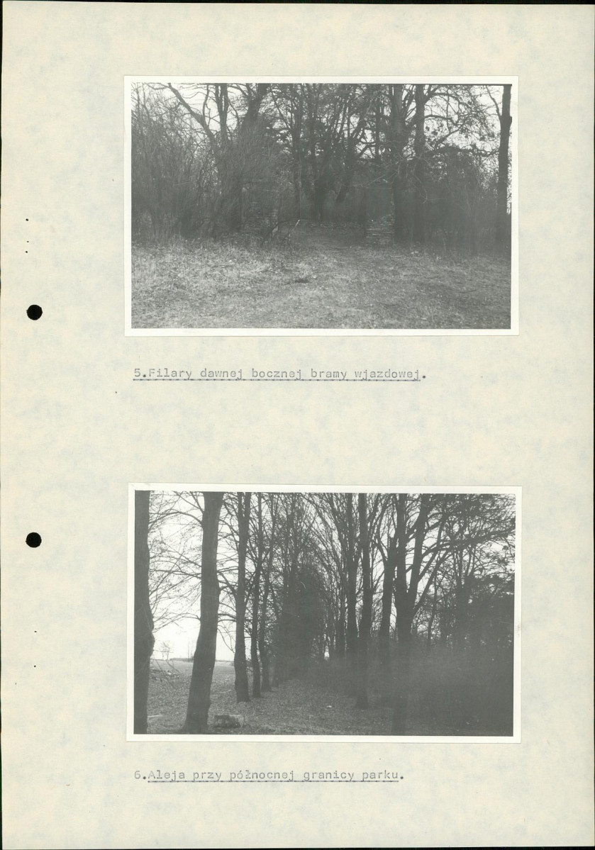 Ewidencja parkowa, skan nr 25
