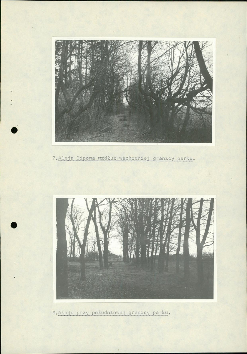 Ewidencja parkowa, skan nr 26