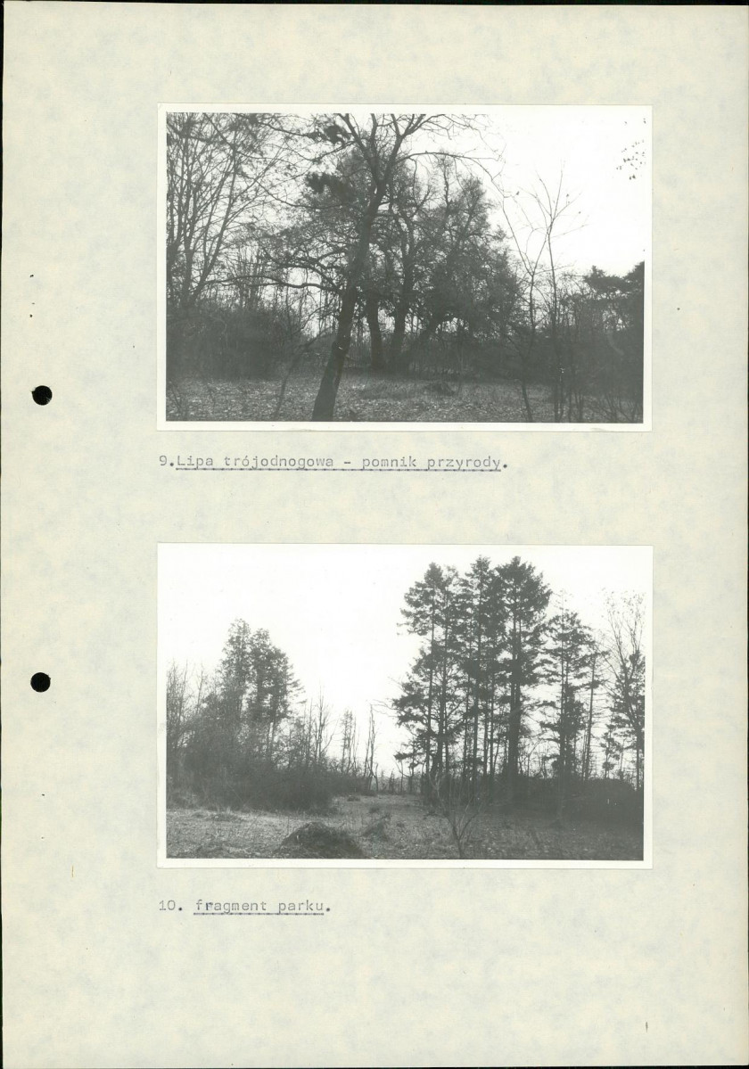 Ewidencja parkowa, skan nr 27