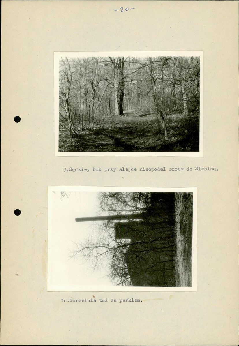 EP - Ewidencja parkowa, skan nr 28