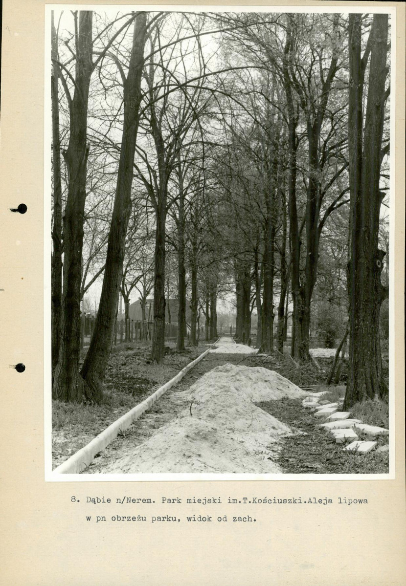 Ewidencja parkowa, skan nr 36