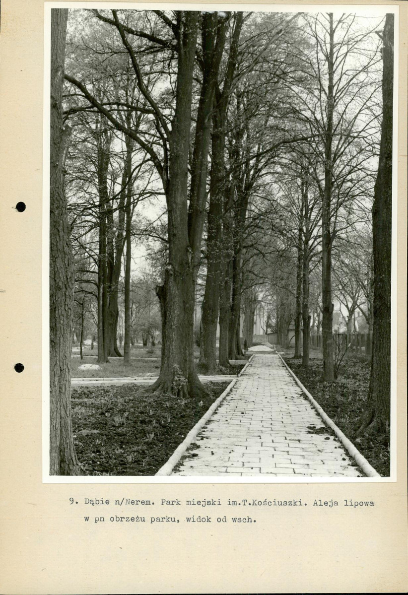 Ewidencja parkowa, skan nr 38