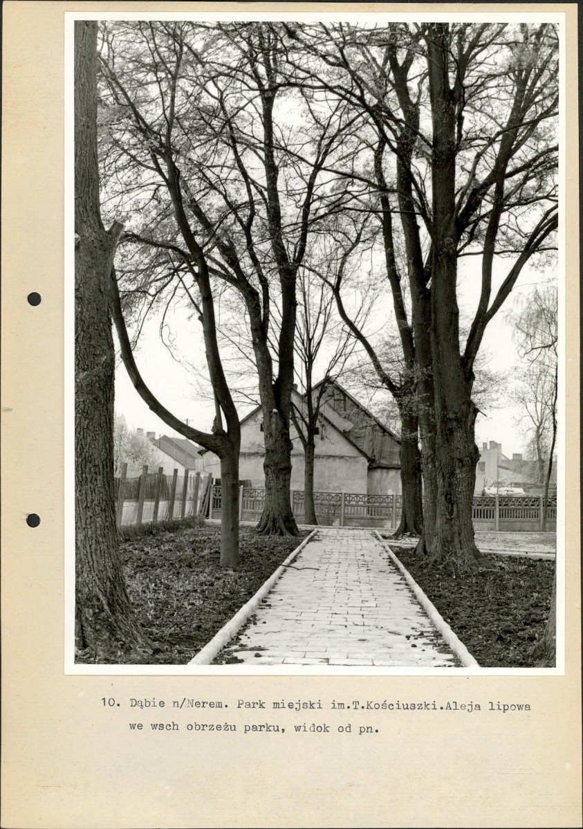 Ewidencja parkowa, skan nr 40