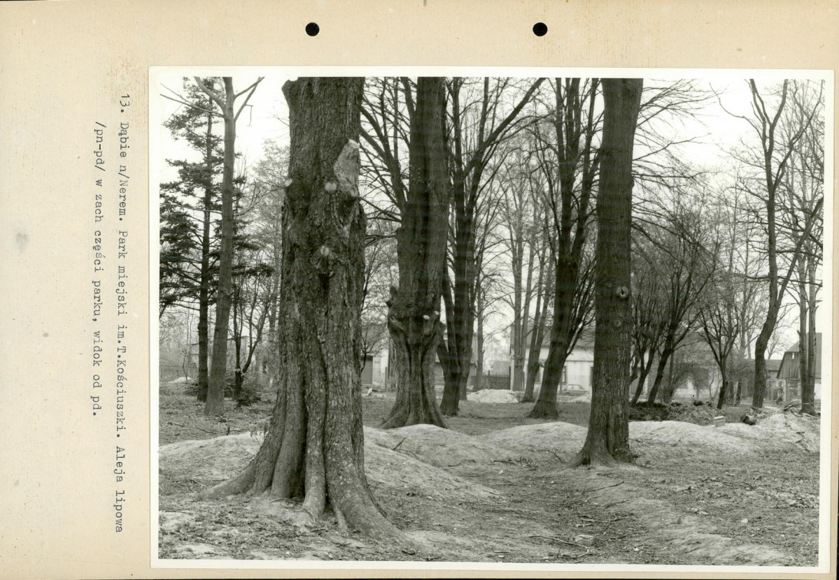 Ewidencja parkowa, skan nr 46