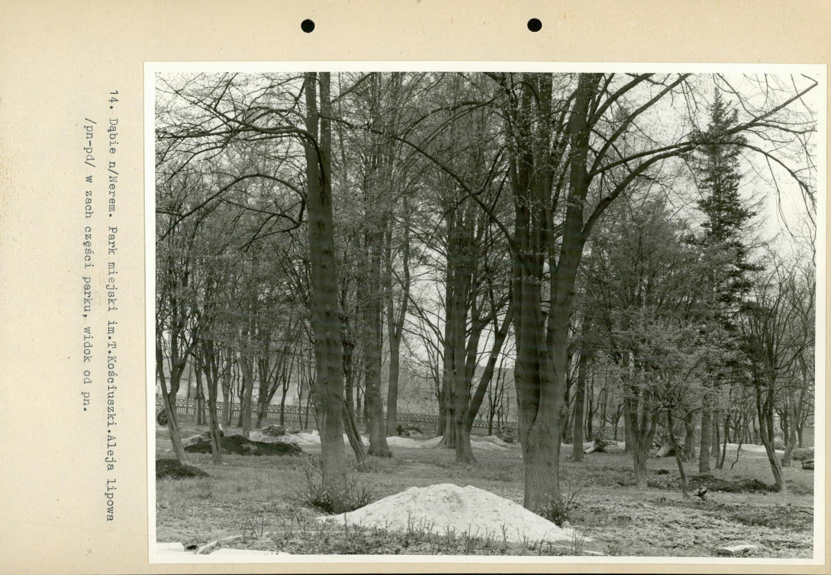Ewidencja parkowa, skan nr 48