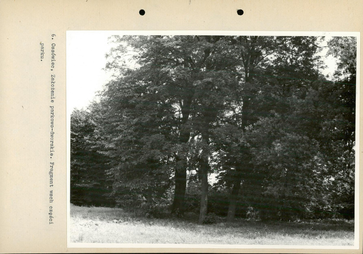 Ewidencja parkowa, skan nr 34