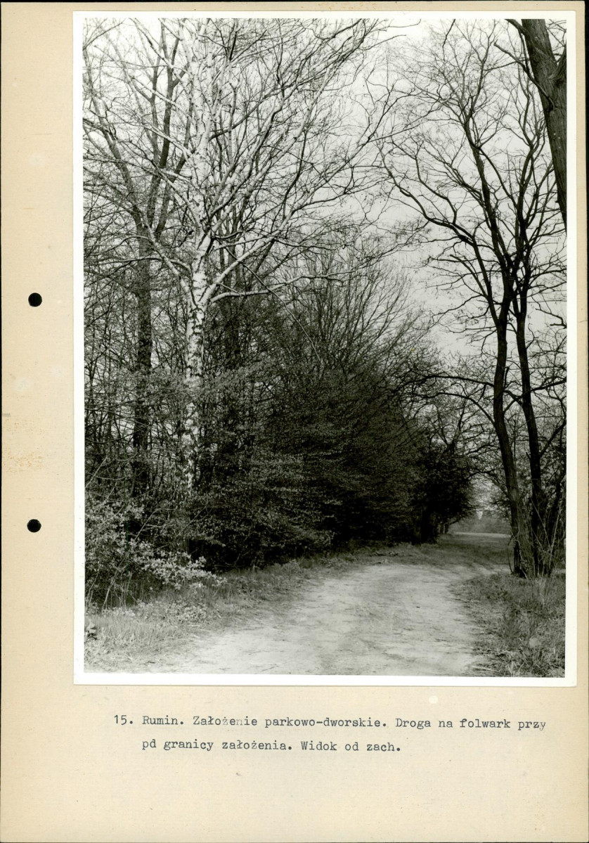 Ewidencja parkowa, skan nr 49