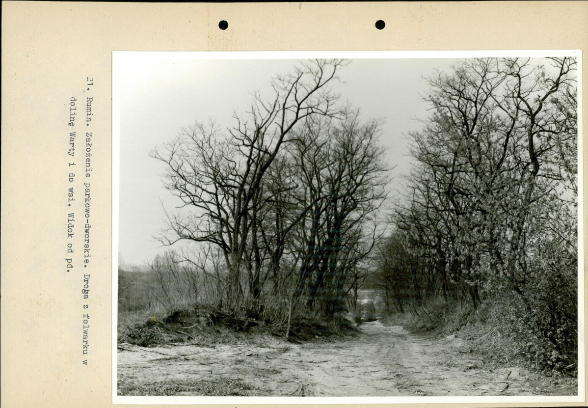 Ewidencja parkowa, skan nr 61