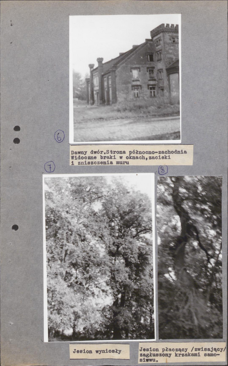EP - Ewidencja parkowa, skan nr 25