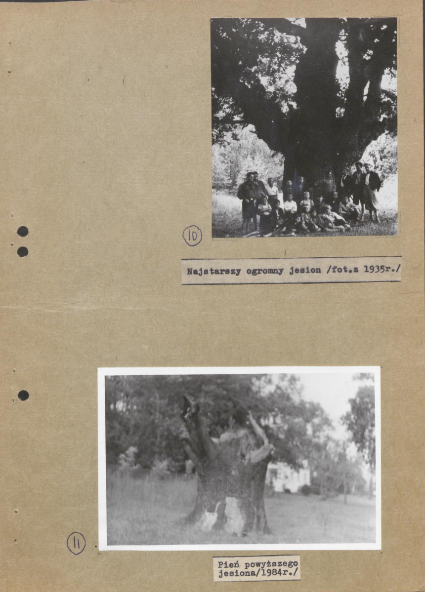 Ewidencja parkowa, skan nr 25