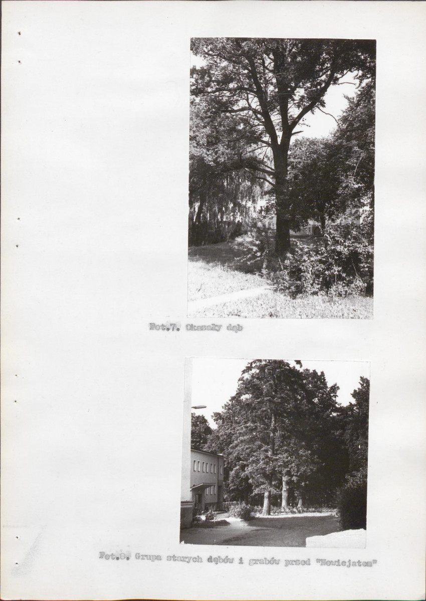 Ewidencja parkowa, skan nr 52