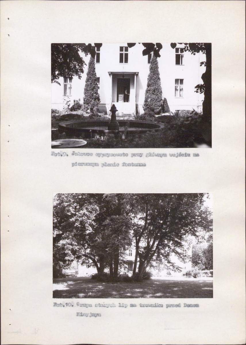 Ewidencja parkowa, skan nr 53