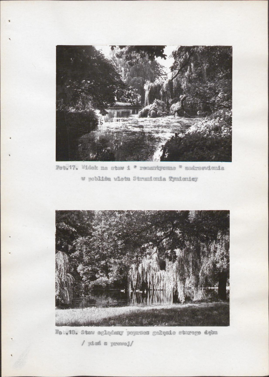 Ewidencja parkowa, skan nr 57