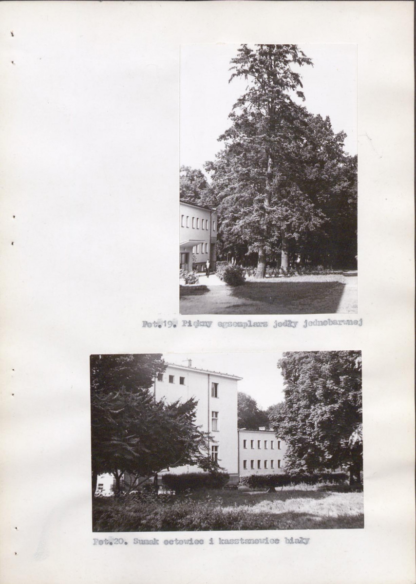 Ewidencja parkowa, skan nr 58